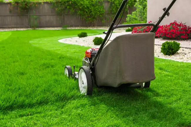 Can You Mow Wet Grass in  San Angelo, TX