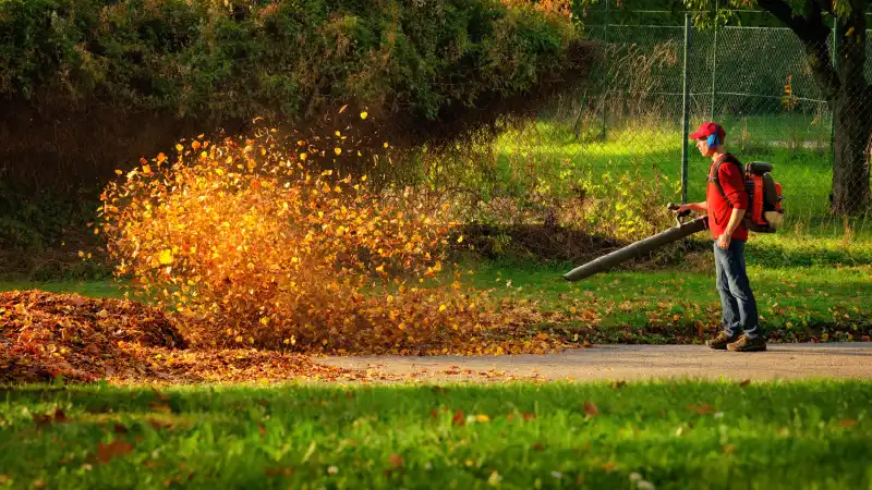 How to clear a yard full of weeds in San Angelo, TX