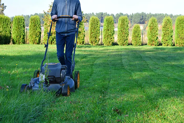 Landscaping Company in San Angelo, TX