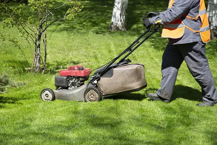 Lawn Mowing in San Angelo, TX