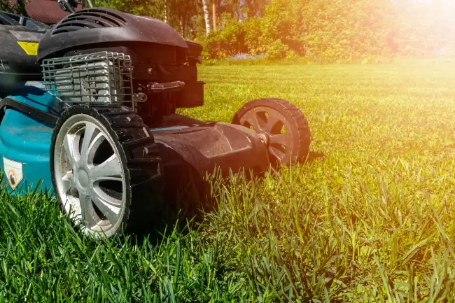 Lawn Mowing in San Angelo, TX