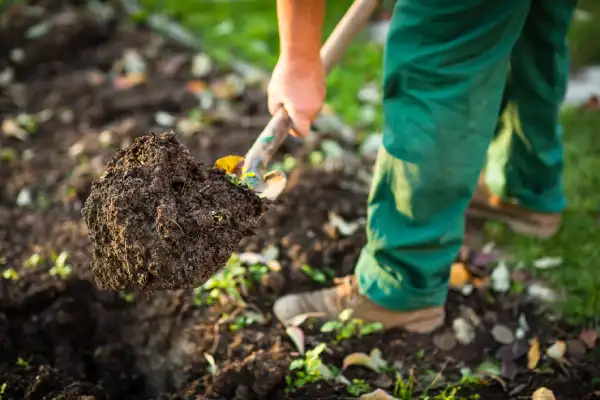 Mulching in San Angelo, TX