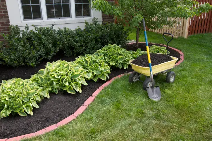 Mulching in San Angelo, TX