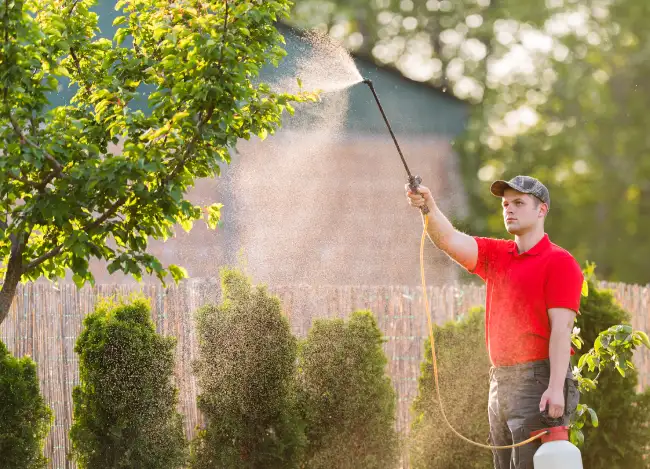 When is the best time to fertilize your lawn in San Angelo, TX