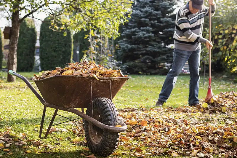 Yard cleanup in San Angelo, TX