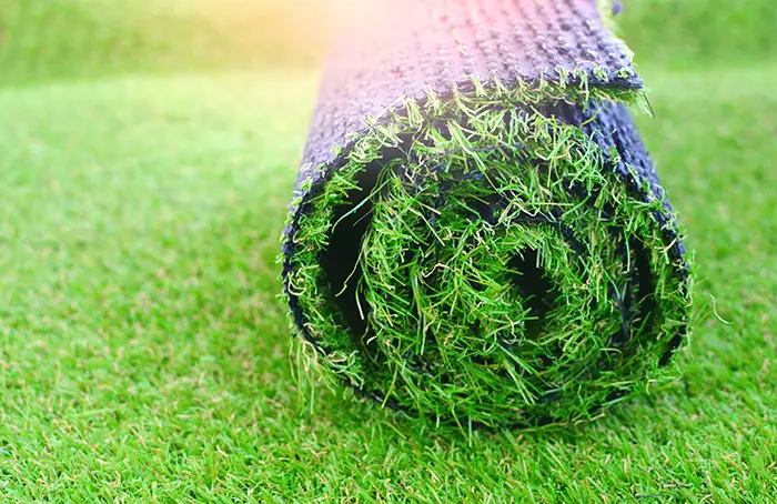 Sod Installation